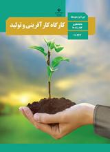 کارگاه کار آفرینی و تولید